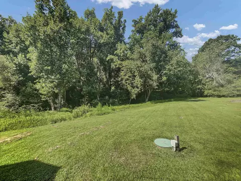 102 Gooseberry Ct, Willow Spring, NC 27592 photo 17