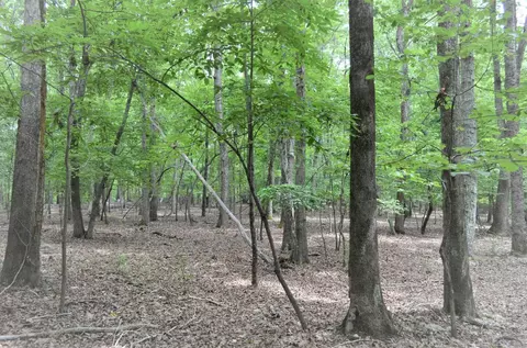 016 Fire Tower Dr, Rougemont, NC 27572