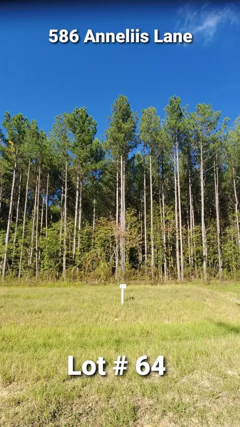 586 Anneliis Ln, Siler City, NC 27344