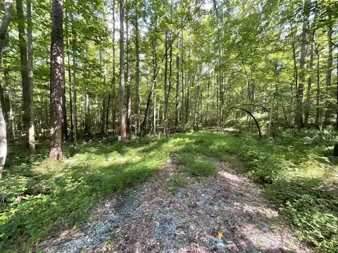 lot8 Preservation Forest Ln, Efland, NC 27243