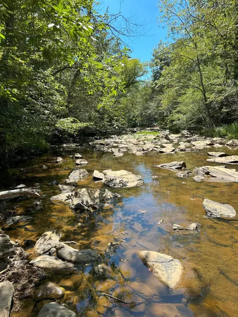 0 Lambeth Mill Rd, Siler City, NC 27344