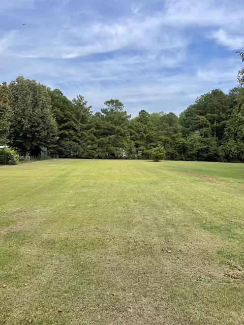 11151 Simms Rd, Bailey, NC 27807 photo 20
