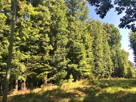 tbd Siler City Fire Tower Rd, Siler City, NC 27344
