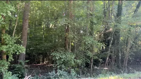 5752 N Roxboro Rd, Durham, NC 27712 photo 2