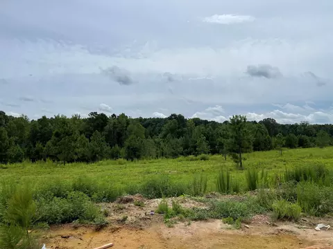 55 Brookhaven Dr, Spring Hope, NC 27882 photo 3