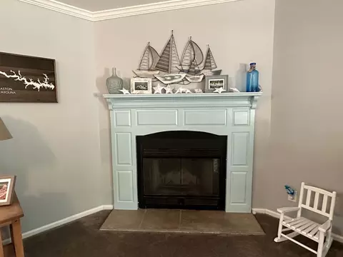 283 Lynch Point Rd, Macon, NC 27551 photo 13