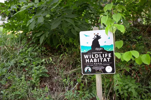 110 Lodge St, Durham, NC 27707 photo 33