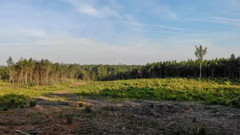 0 Riddley Powell Rd, Macon, NC 27551