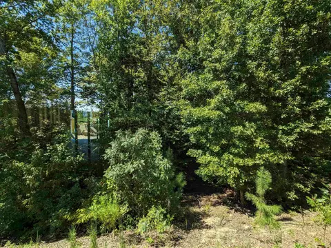 98 Hidden Grove Ct, Garner, NC 27529 photo 11