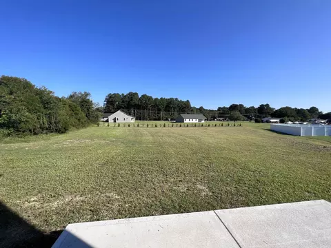 39 Touchdown Way, Benson, NC 27504 photo 19