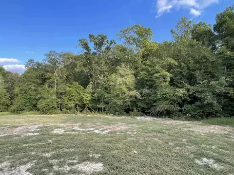 430 Touchdown Way, Benson, NC 27504 photo 11