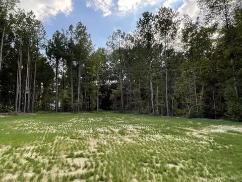 452 Roberts Rd, Willow Spring, NC 27592 photo 12