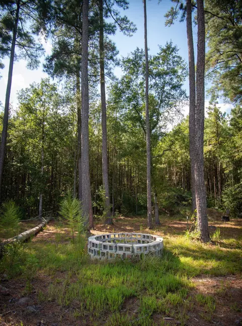 560 Covington Rd, Bunnlevel, NC 28323 photo 18