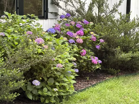 604 Lawrence Rd, Wake Forest, NC 27587 photo 36