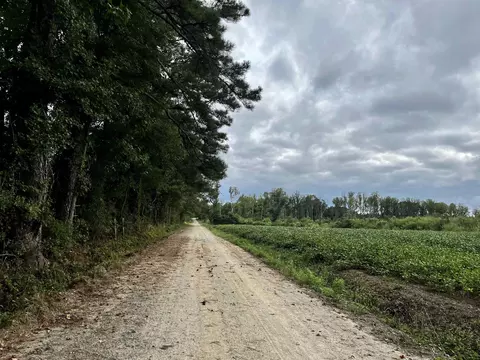 527 Sam Narron Rd, Middlesex, NC 27557 photo 5