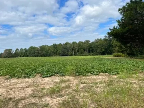 0 Old Stage Rd, Coats, NC 27521