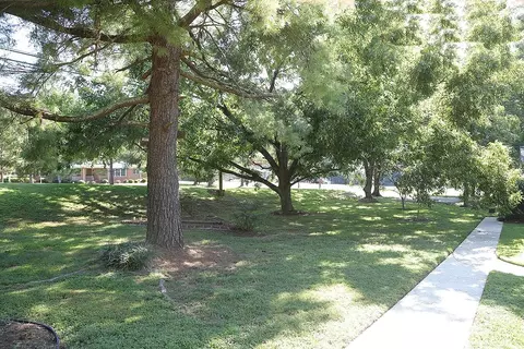 806 Wait Ave, Wake Forest, NC 27587 photo 27
