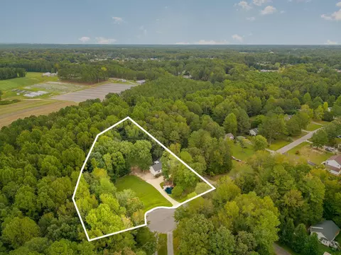 144 Pebblestone Ct, Willow Spring, NC 27592 photo 3