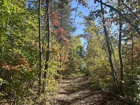 25 Acres Medford Oakley Rd, Rougemont, NC 27572
