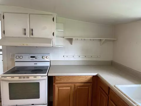 265 Iris Bryant Rd, Erwin, NC 28339 photo 3