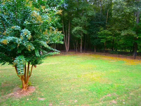 356 Galaxy Dr, Garner, NC 27529 photo 35