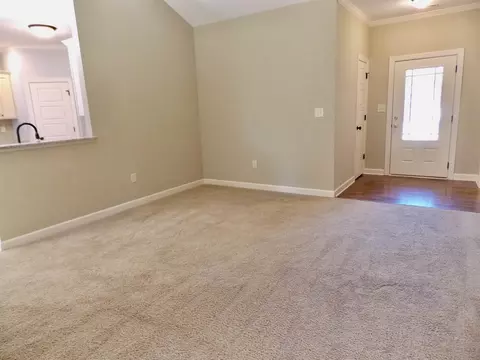 175 Gray Squirrel Dr, Angier, NC 27501 photo 5