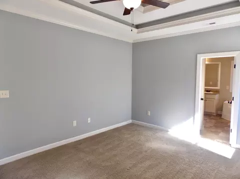175 Gray Squirrel Dr, Angier, NC 27501 photo 12