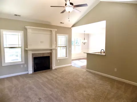175 Gray Squirrel Dr, Angier, NC 27501 photo 7
