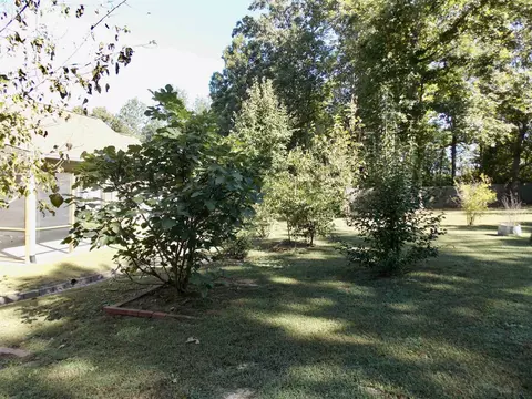 175 Gray Squirrel Dr, Angier, NC 27501 photo 39
