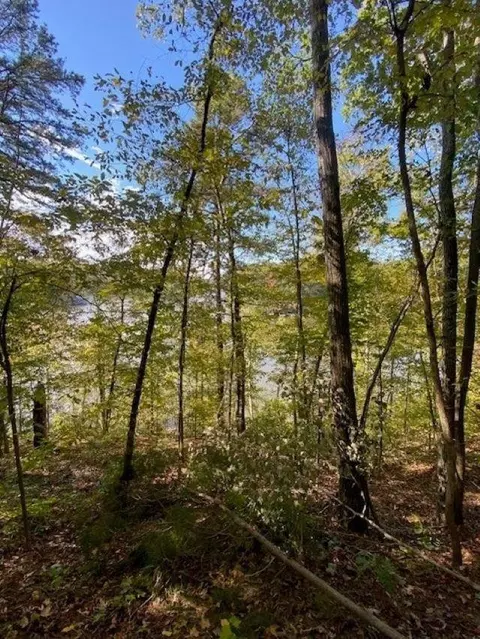 lot2 Lakeshore Rd, Leasburg, NC 27291