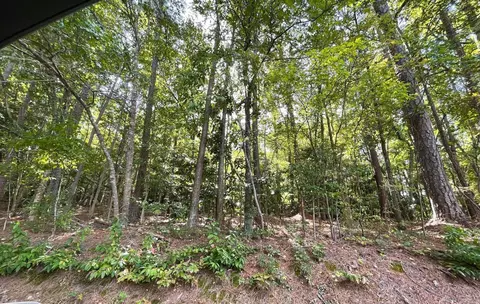 03 Kittrell Rd, Kittrell, NC 27544 photo 5