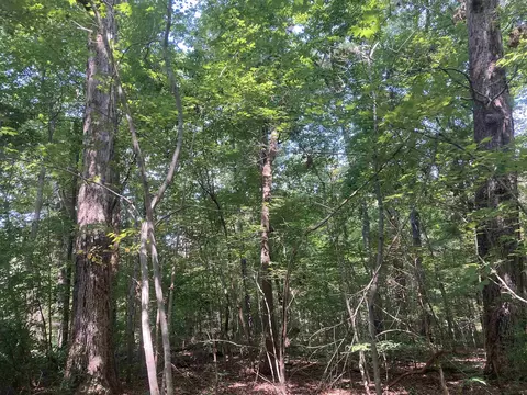Lloydtown Road, Mebane, NC 27302