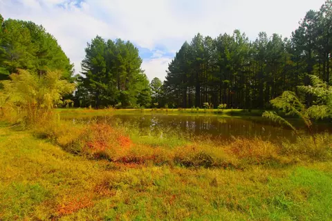 4161 Range Rd, Stem, NC 27581 photo 39