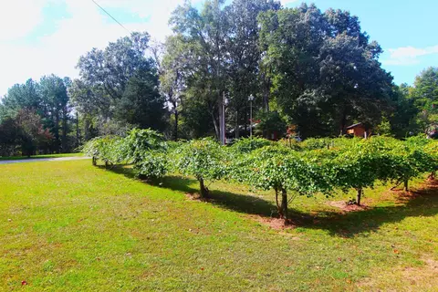 4161 Range Rd, Stem, NC 27581 photo 42