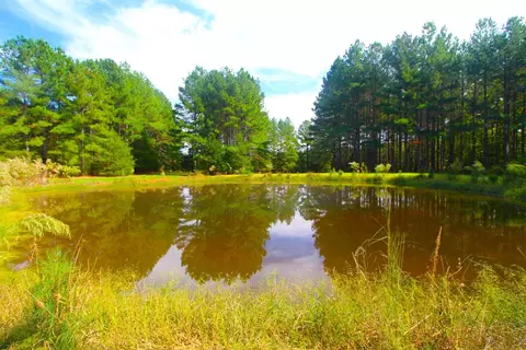 4161 Range Rd, Stem, NC 27581 photo 38