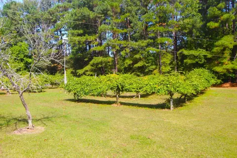 4161 Range Rd, Stem, NC 27581 photo 41