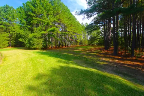 4161 Range Rd, Stem, NC 27581 photo 36