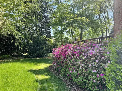 12 Windflower Pl, Durham, NC 27705 photo 30