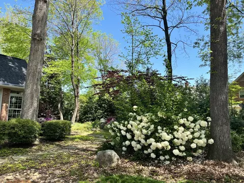 12 Windflower Pl, Durham, NC 27705 photo 31