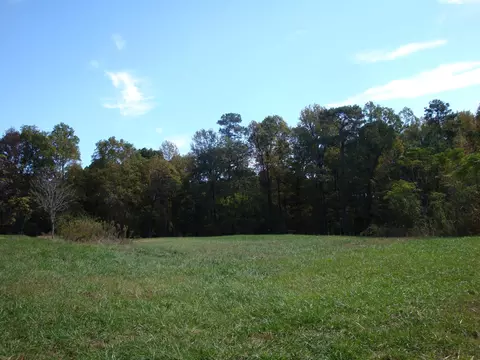tbd Bowers Store Rd, Siler City, NC 27344