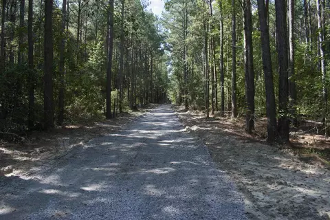 00 Vick Rd, Spring Hope, NC 27882 photo 5