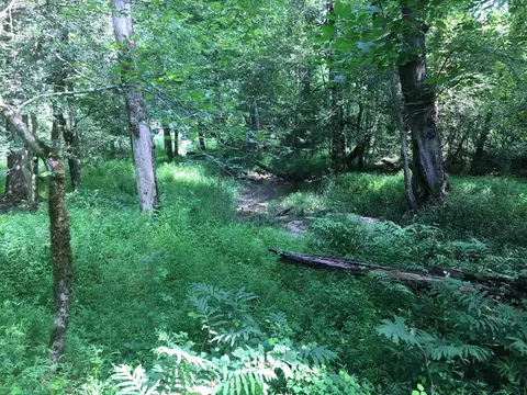 00 Vick Rd, Spring Hope, NC 27882 photo 9