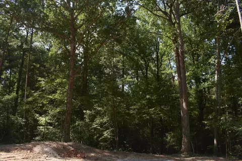 00 Vick Rd, Spring Hope, NC 27882 photo 7