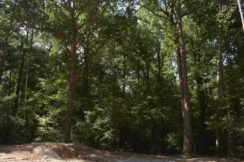 00 Vick Rd, Spring Hope, NC 27882 photo 7