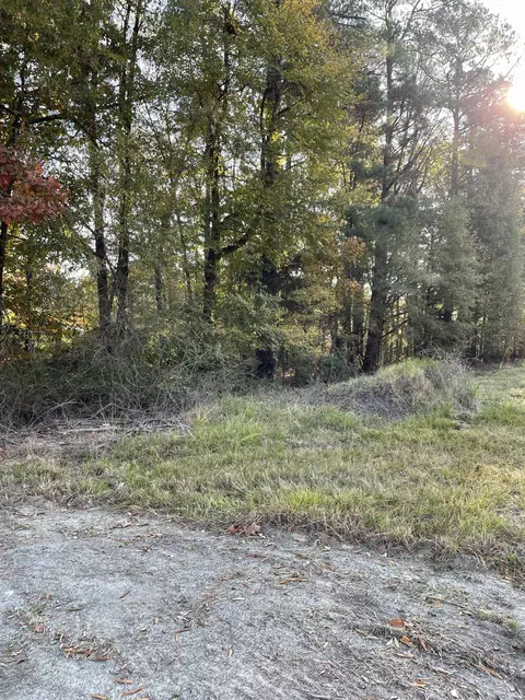 311 W C, Butner, NC 27609