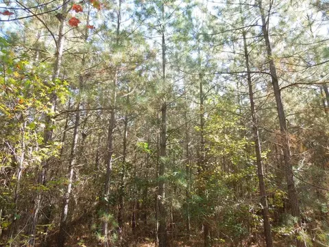 Mcduffie Road, Biscoe, NC 27209 photo 9