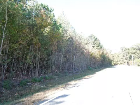 Mcduffie Road, Biscoe, NC 27209 photo 5