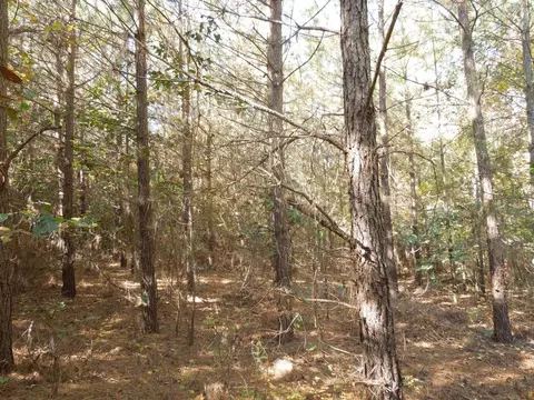 Mcduffie Road, Biscoe, NC 27209 photo 3