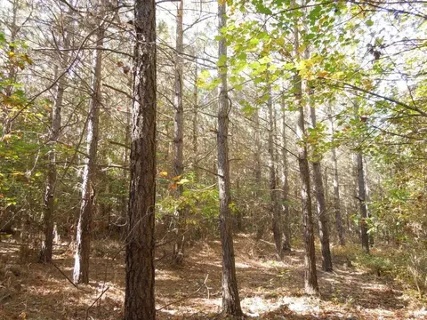 Mcduffie Road, Biscoe, NC 27209