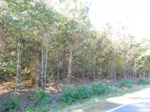 Mcduffie Road, Biscoe, NC 27209 photo 4
